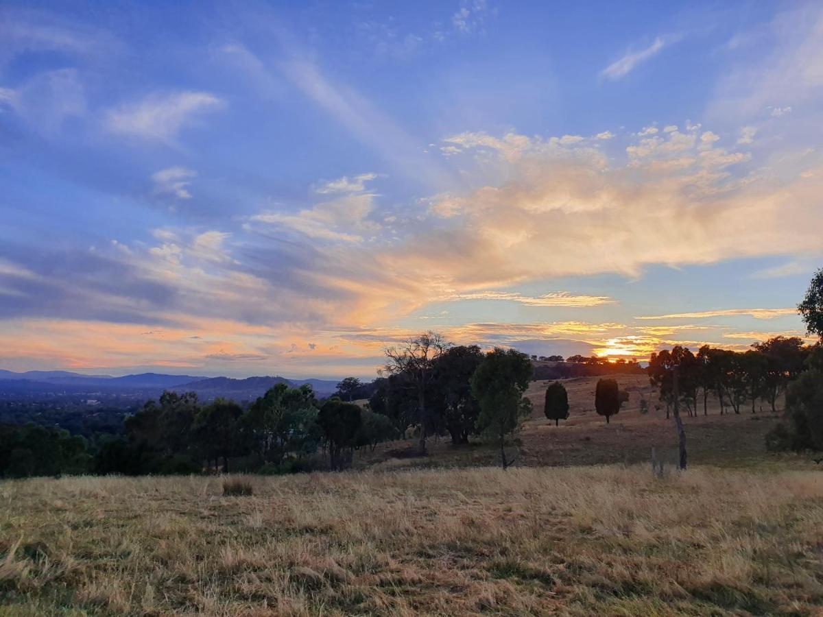 Gaddleen Grove Cottages Wodonga Kültér fotó