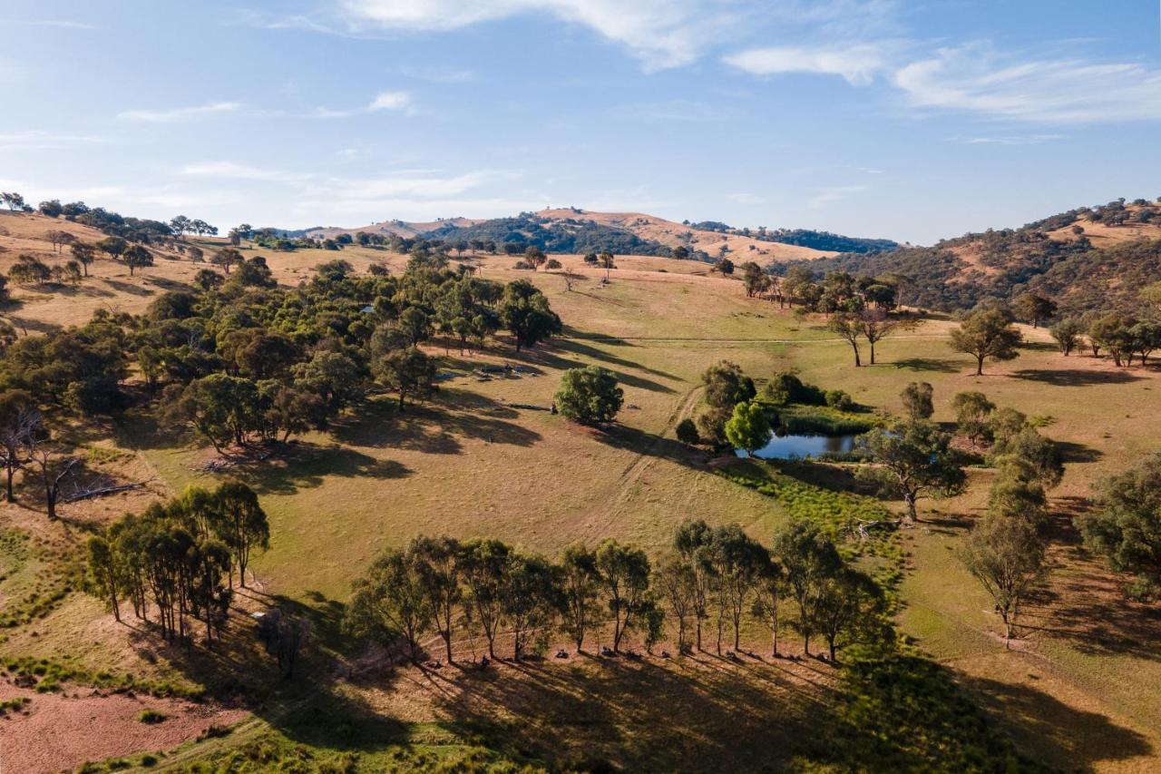 Gaddleen Grove Cottages Wodonga Kültér fotó