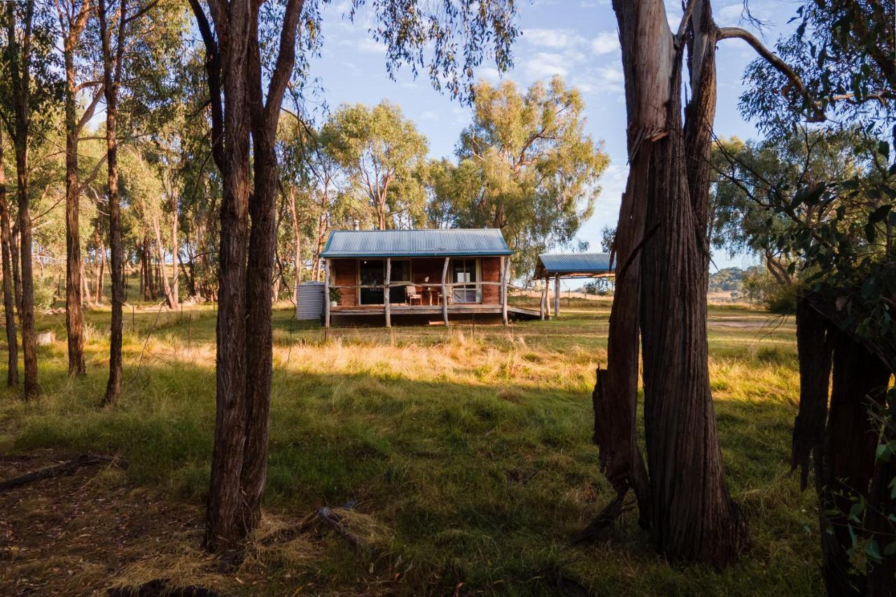 Gaddleen Grove Cottages Wodonga Kültér fotó